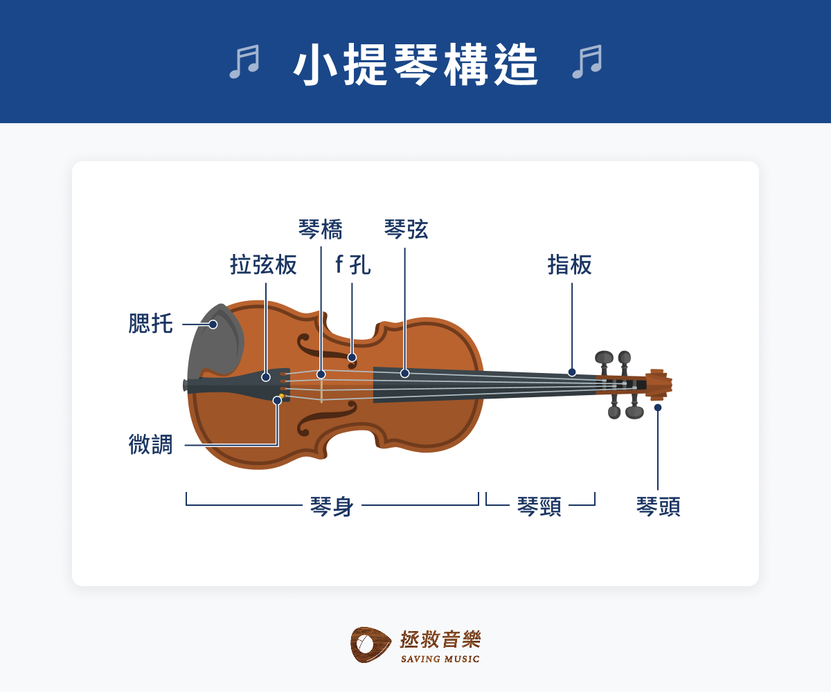 小提琴結構介紹